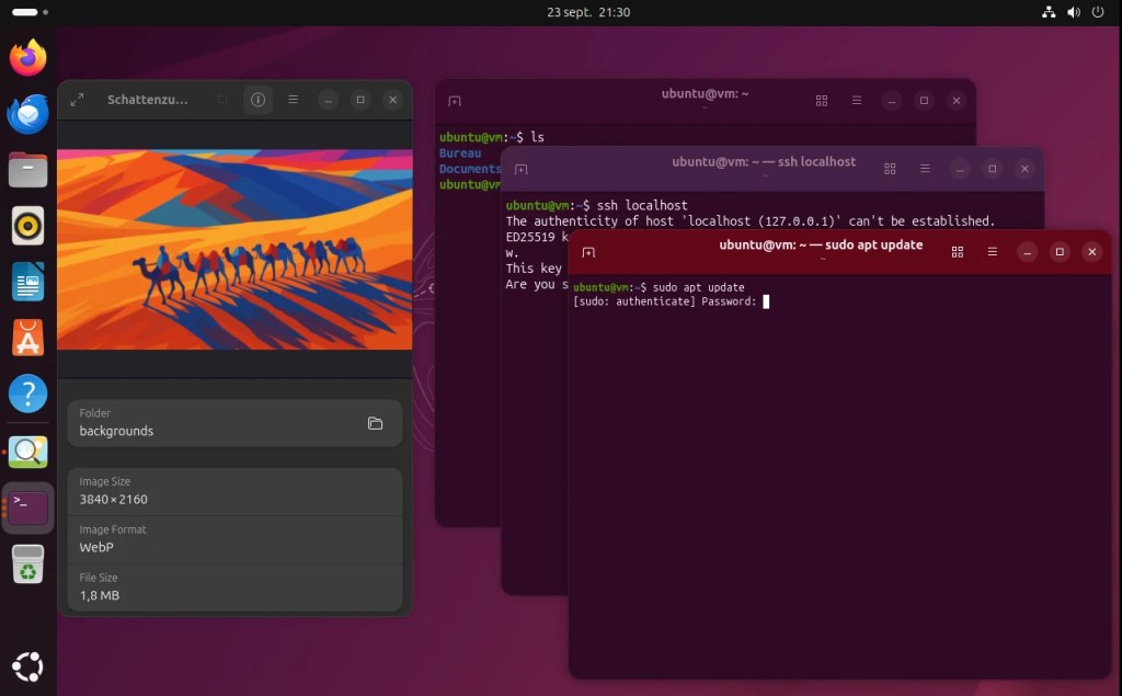 canonical выпустила Ubuntu 25.10 Ищущая&nbsp;Квокка